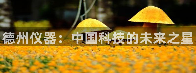 天宏娱乐老板朱俊伟：德州仪器：中国科技的未来之星