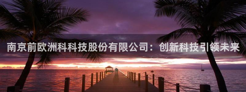天宏娱乐小号官网下载：南京前欧洲科科技股份有限公司：创新科技