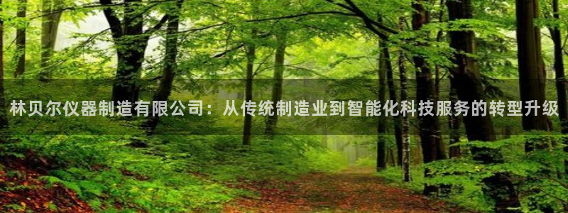 西安天宏娱乐会所地址：林贝尔仪器制造有限公司：从传统制造业到