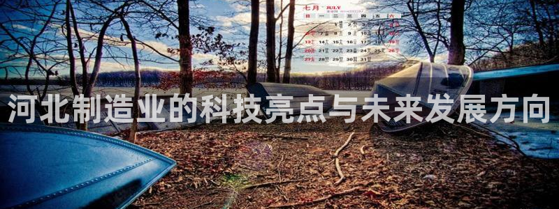 天宏娱乐为什么被骂：河北制造业的科技亮点与未来发展方向