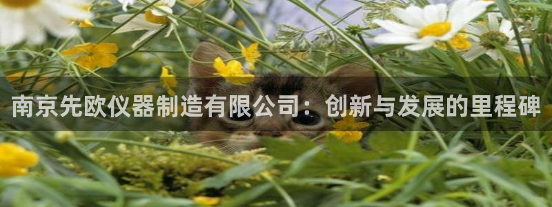 天宏娱乐平台稳么：南京先欧仪器制造有限公司：创新与发展的里程