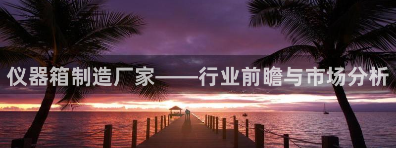 天宏娱乐a 判官：仪器箱制造厂家——行业前瞻与市场分析