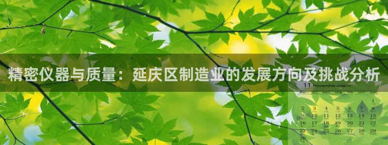 天宏3娱乐登录：精密仪器与质量：延庆区制造业的发展方向及挑战