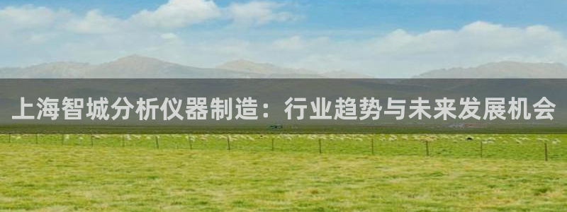 天宏娱乐梁善良：上海智城分析仪器制造：行业趋势与未来发展机会