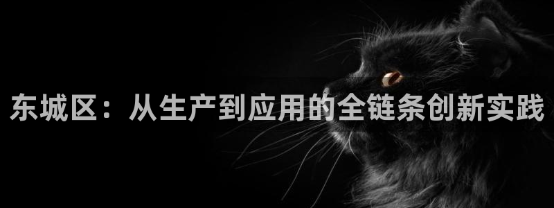 天宏娱乐魏叔：东城区：从生产到应用的全链条创新实践