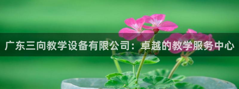 天宏娱乐董事长：广东三向教学设备有限公司：卓越的教学服务中心