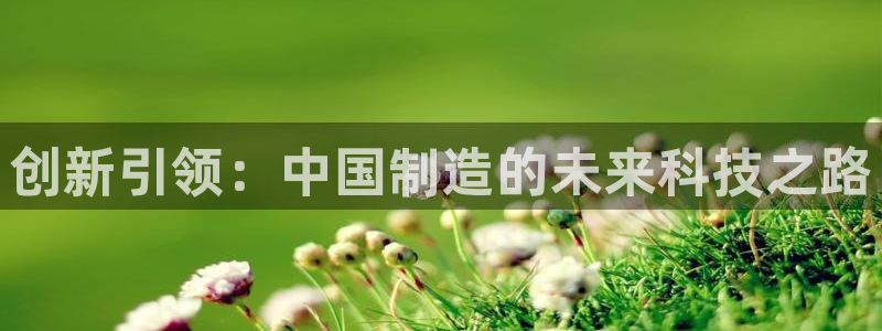 天宏娱乐福叔：创新引领：中国制造的未来科技之路