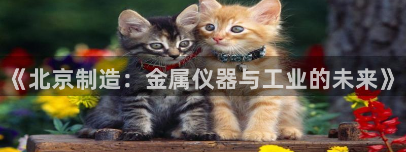 天宏娱乐老季：《北京制造：金属仪器与工业的未来》