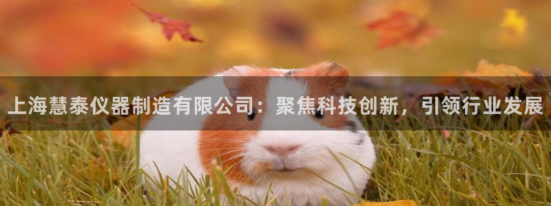 天宏娱乐时时彩：上海慧泰仪器制造有限公司：聚焦科技创新，引领