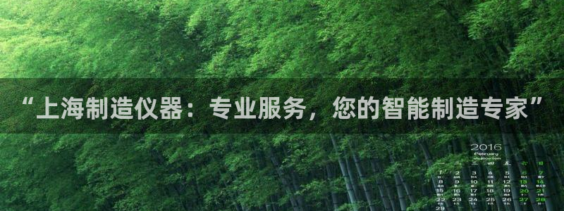 天宏娱乐河源店地址查询：“上海制造仪器：专业服务，您的智能制