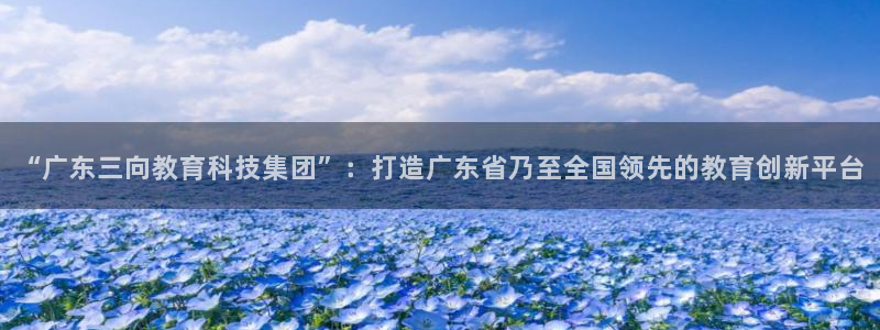 天宏娱乐是什么：“广东三向教育科技集团”：打造广东省乃至全国