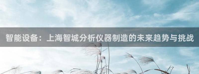 天宏娱乐怎么注册：智能设备：上海智城分析仪器制造的未来趋势与