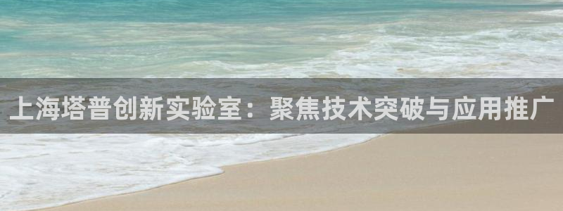 天宏娱乐军叔：上海塔普创新实验室：聚焦技术突破与应用推广