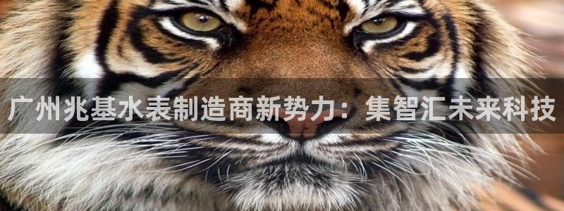 天宏娱乐玉海娱乐：广州兆基水表制造商新势力：集智汇未来科技