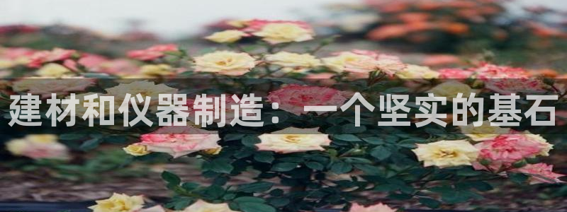 天宏娱乐app 下载：建材和仪器制造：一个坚实的基石