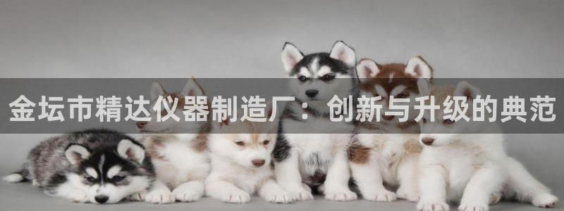 西安天宏娱乐老男孩事件：金坛市精达仪器制造厂：创新与升级的典