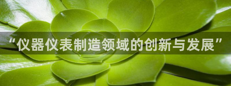 天宏娱乐天跃娱乐：“仪器仪表制造领域的创新与发展”