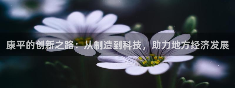 天宏娱乐平台登陆：康平的创新之路：从制造到科技，助力地方经济