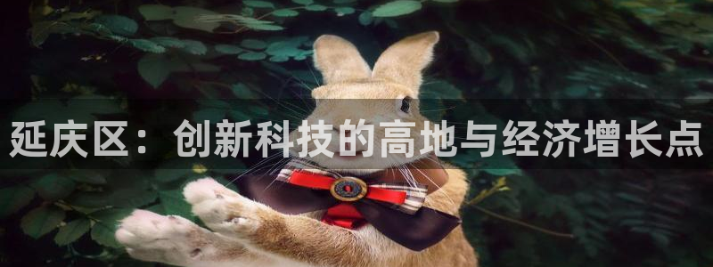 天宏娱乐传媒旗下艺人：延庆区：创新科技的高地与经济增长点