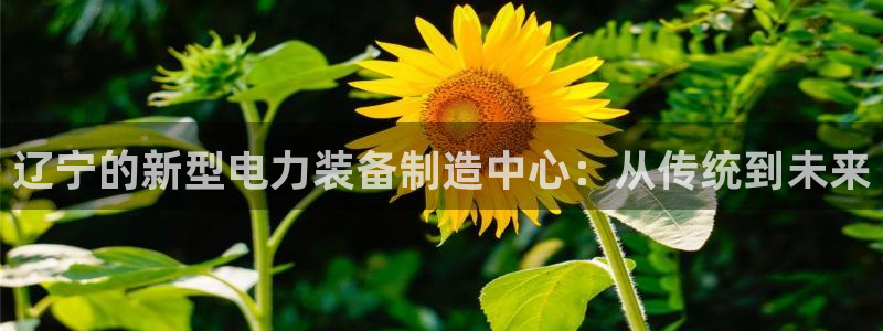 天宏娱乐注册：辽宁的新型电力装备制造中心：从传统到未来