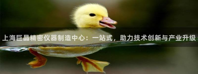 天宏娱乐传媒岳阳：上海巨晶精密仪器制造中心：一站式，助力技术