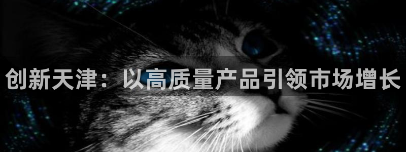 内蒙古天宏娱乐：创新天津：以高质量产品引领市场增长