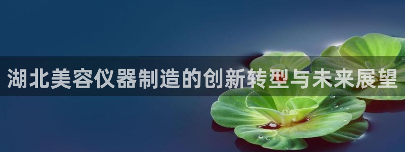 天宏娱乐河源店地址查询：湖北美容仪器制造的创新转型与未来展望