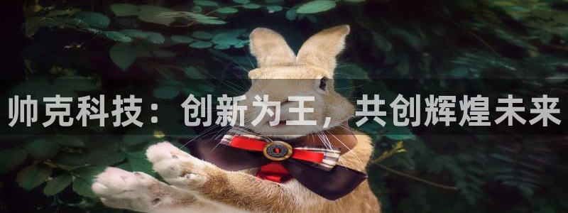 天宏娱乐男神季叔：帅克科技：创新为王，共创辉煌未来