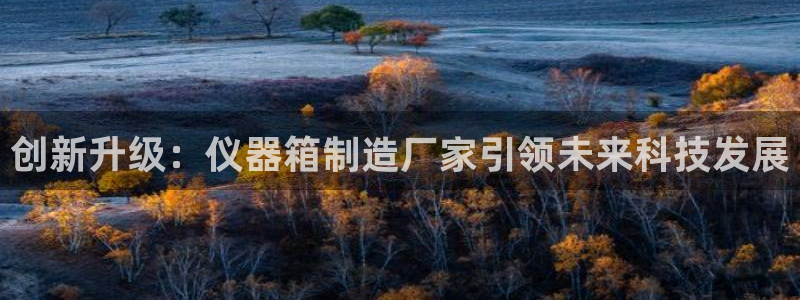 义宏娱乐林天毅：创新升级：仪器箱制造厂家引领未来科技发展