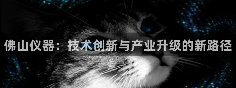 河源天宏娱乐：佛山仪器：技术创新与产业升级的新路径