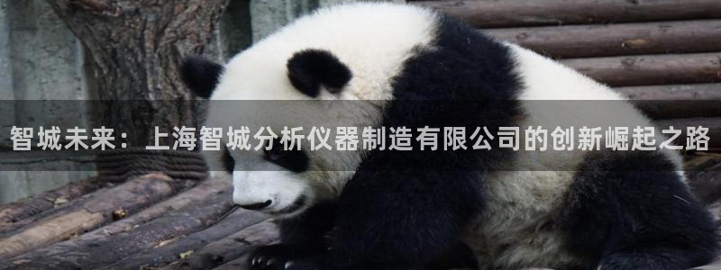 天宏娱乐指挥官：智城未来：上海智城分析仪器制造有限公司的创新