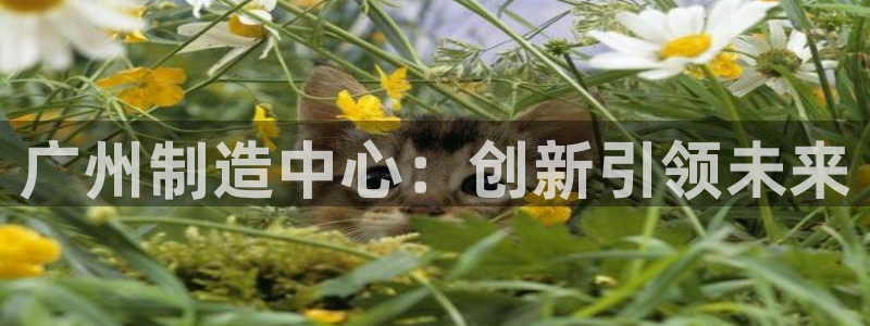 天宏娱乐老男孩董叔：广州制造中心：创新引领未来